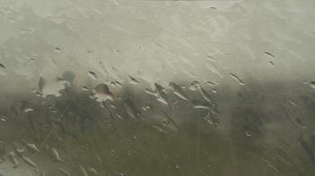 Weather camera view of Christ the King School.