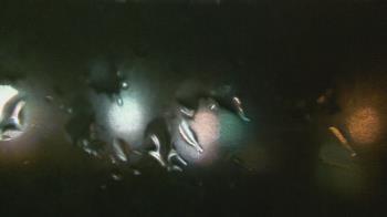 Weather camera view of Christ the King School.