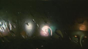 Weather camera view of Christ the King School.