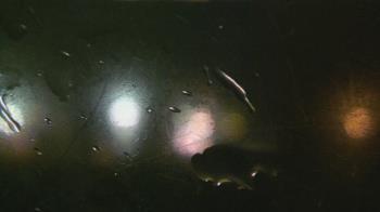 Weather camera view of Christ the King School.