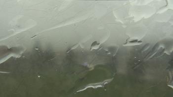 Weather camera view of Christ the King School.