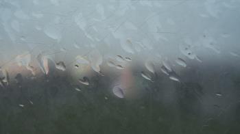 Weather camera view of Christ the King School.