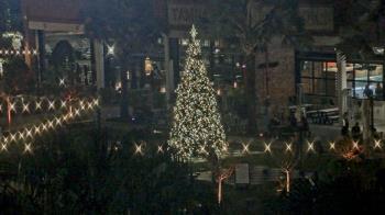 Weather camera view of Armature Works.