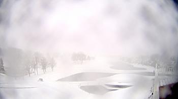 Weather camera view of The Royal Fox Country Club.