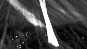 Weather camera view of Line Mountain ES Trevorton.