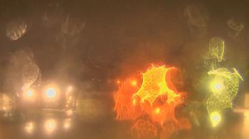 Weather camera view of Gesu School.