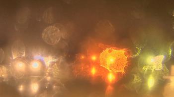 Weather camera view of Gesu School.