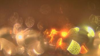 Weather camera view of Gesu School.