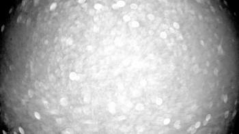 Weather camera view of Village Links of Glen Ellyn.