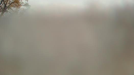 Weather camera view of Forest Lawn Beach.