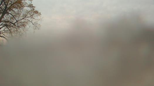 Weather camera view of Forest Lawn Beach.