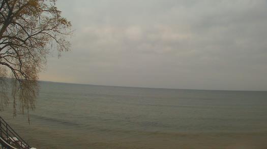 Weather camera view of Forest Lawn Beach.