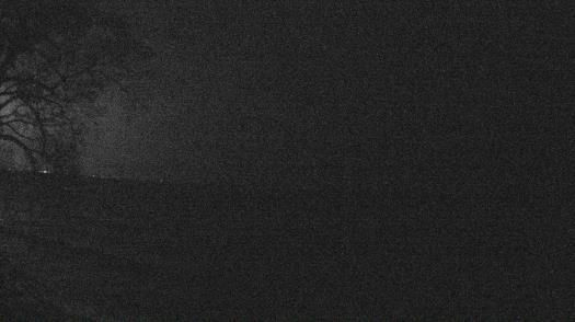 Weather camera view of Forest Lawn Beach.