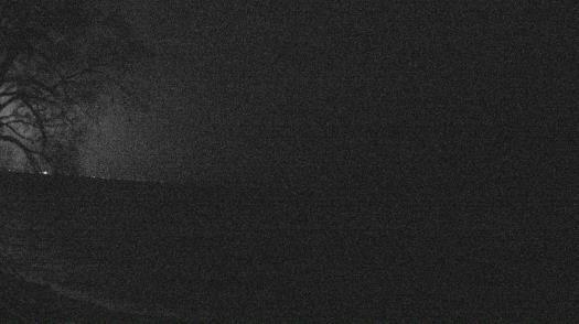 Weather camera view of Forest Lawn Beach.