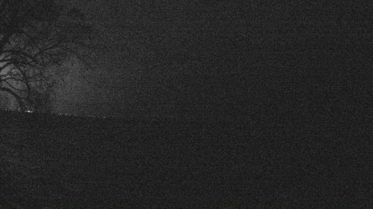 Weather camera view of Forest Lawn Beach.
