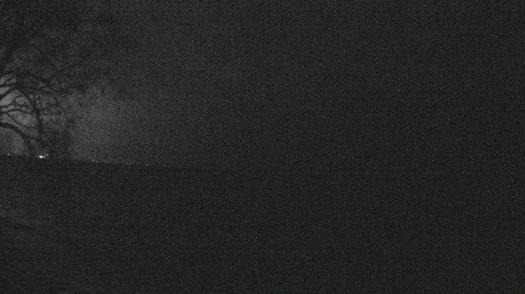 Weather camera view of Forest Lawn Beach.