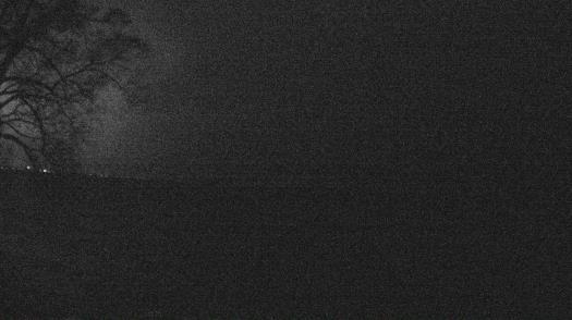 Weather camera view of Forest Lawn Beach.