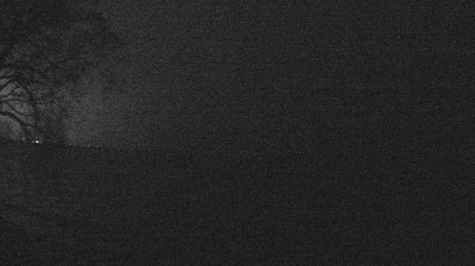 Weather camera view of Forest Lawn Beach.