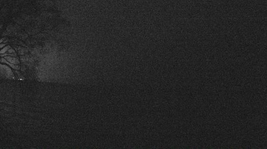 Weather camera view of Forest Lawn Beach.