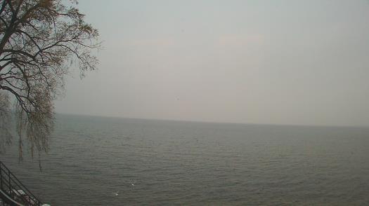 Weather camera view of Forest Lawn Beach.