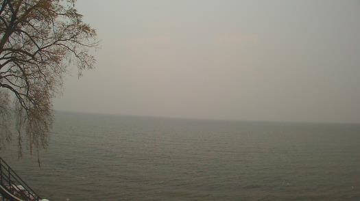 Weather camera view of Forest Lawn Beach.