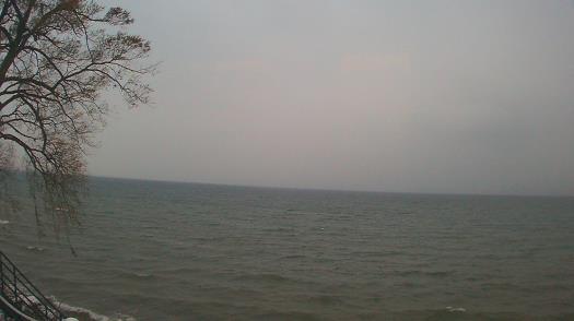 Weather camera view of Forest Lawn Beach.