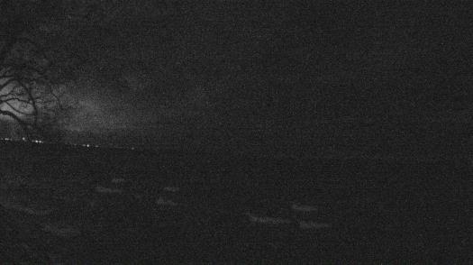 Weather camera view of Forest Lawn Beach.