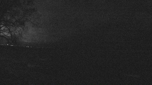 Weather camera view of Forest Lawn Beach.