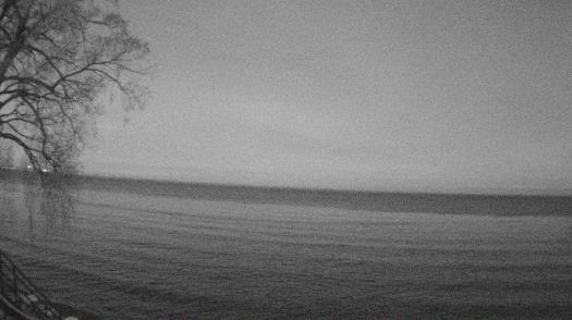 Weather camera view of Forest Lawn Beach.