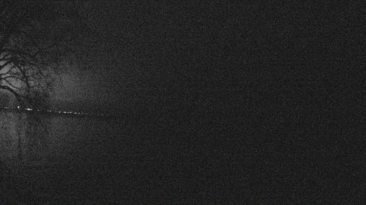 Weather camera view of Forest Lawn Beach.