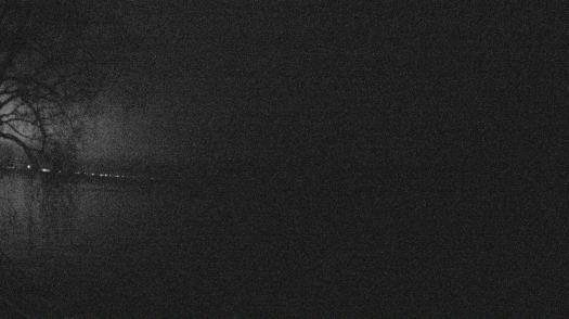 Weather camera view of Forest Lawn Beach.