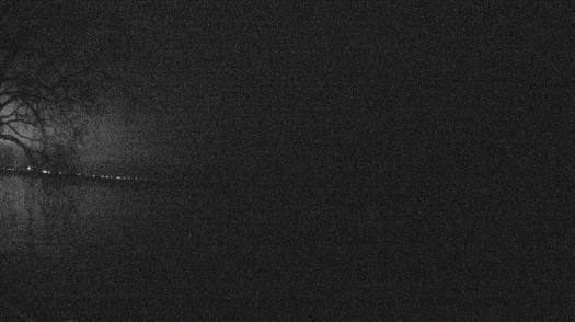 Weather camera view of Forest Lawn Beach.