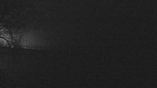 Weather camera view of Forest Lawn Beach.