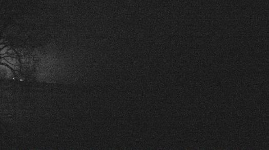 Weather camera view of Forest Lawn Beach.