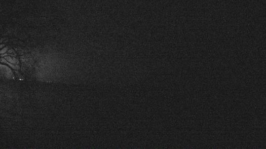 Weather camera view of Forest Lawn Beach.