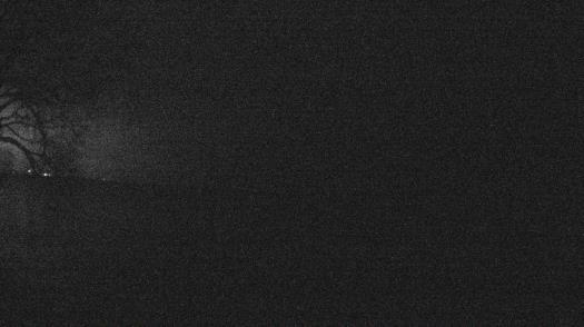 Weather camera view of Forest Lawn Beach.