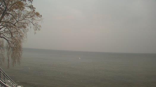 Weather camera view of Forest Lawn Beach.