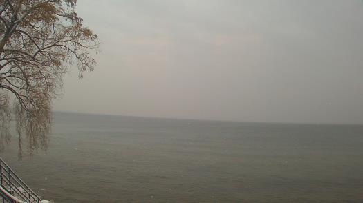 Weather camera view of Forest Lawn Beach.