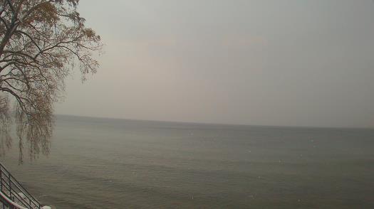 Weather camera view of Forest Lawn Beach.