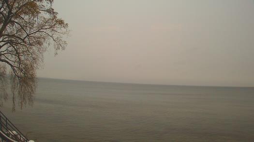 Weather camera view of Forest Lawn Beach.