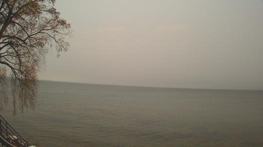 Weather camera view of Forest Lawn Beach.