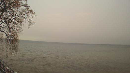 Weather camera view of Forest Lawn Beach.