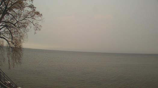 Weather camera view of Forest Lawn Beach.