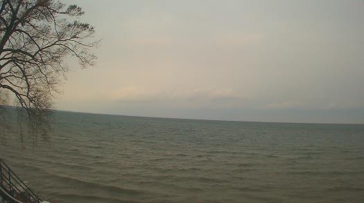 Weather camera view of Forest Lawn Beach.