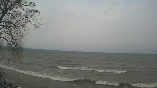 Weather camera view of Forest Lawn Beach.