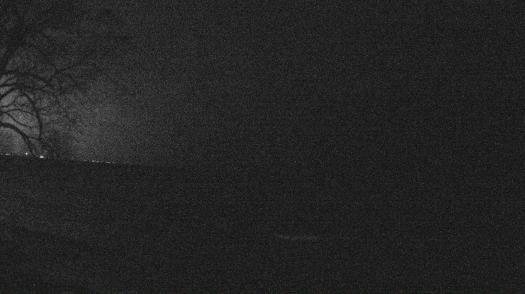 Weather camera view of Forest Lawn Beach.