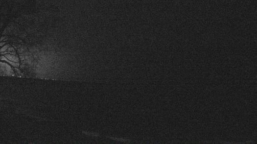 Weather camera view of Forest Lawn Beach.