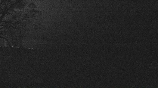 Weather camera view of Forest Lawn Beach.