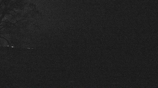 Weather camera view of Forest Lawn Beach.