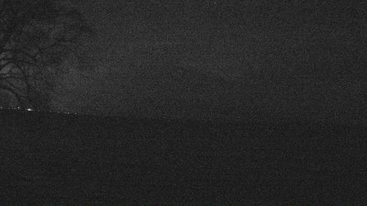 Weather camera view of Forest Lawn Beach.